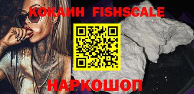 гидра Будённовск