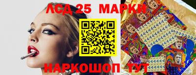 гидра Будённовск