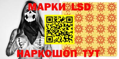 гидра Будённовск