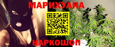 гидра Будённовск