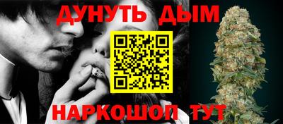 гидра Будённовск